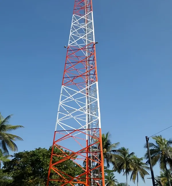 Applications et adaptabilité