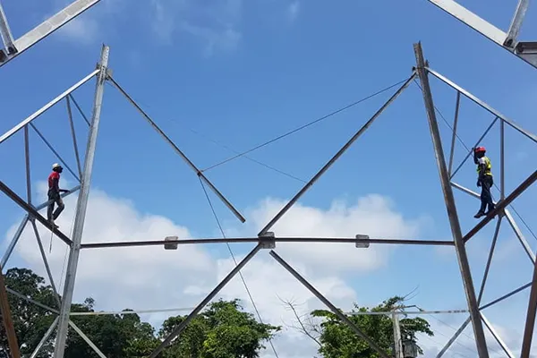 Grande adaptabilité aux sites