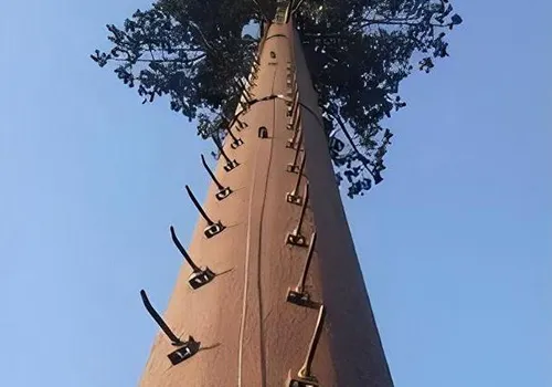 Applications et durabilité