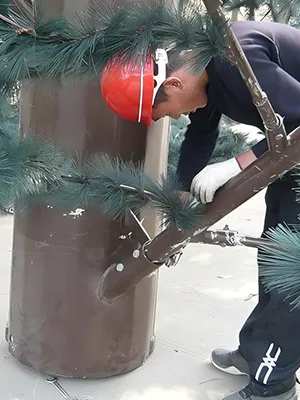 Contrôle des connexions