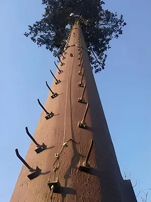 Inspection finale de l’apparence